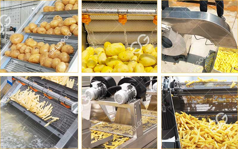 Usine de production de frite surgelé d'une capacité de 5 tonnes par heure au Burkina Faso